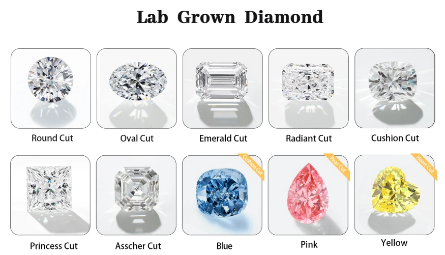 product-875-501 product-875-501